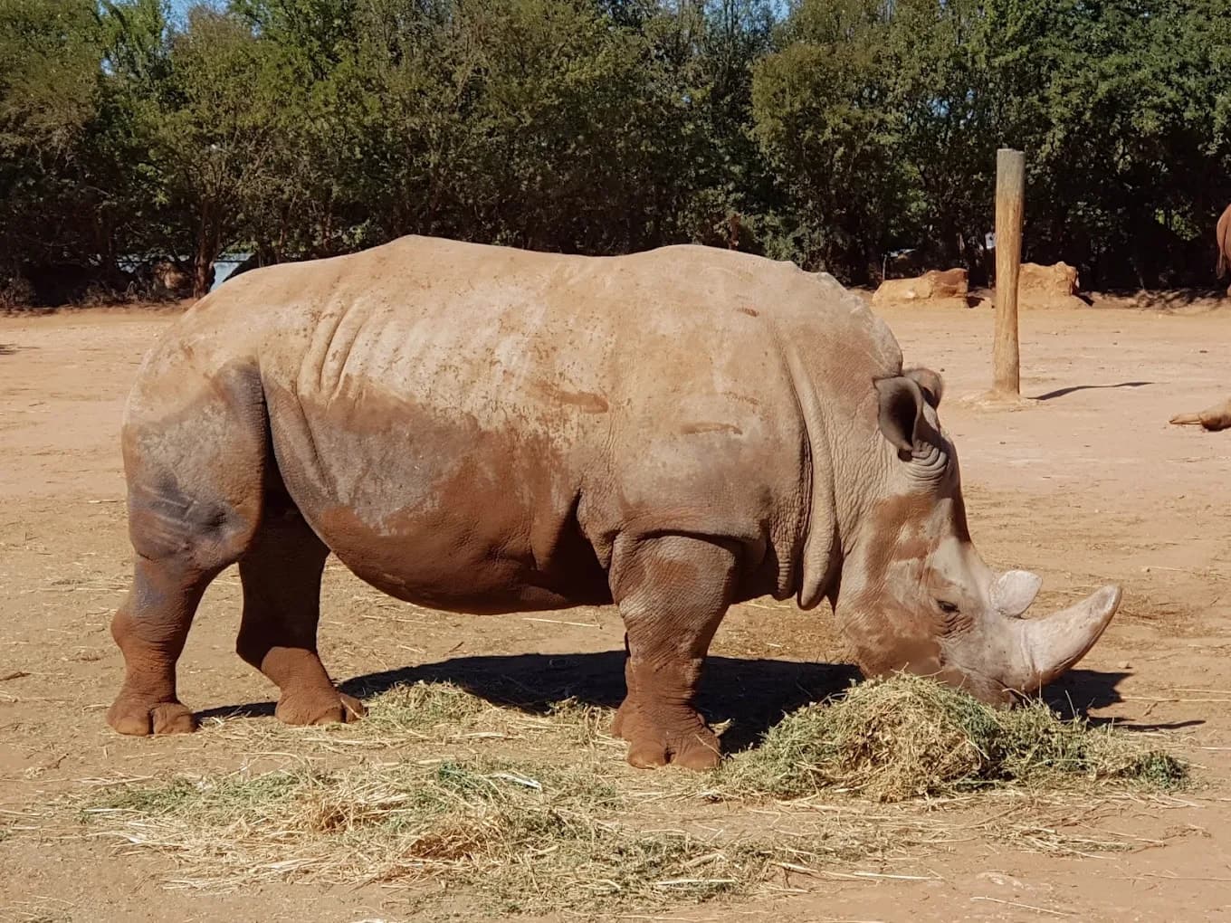 Jardin Zoologique de Rabat – Parc animalier et nature 2