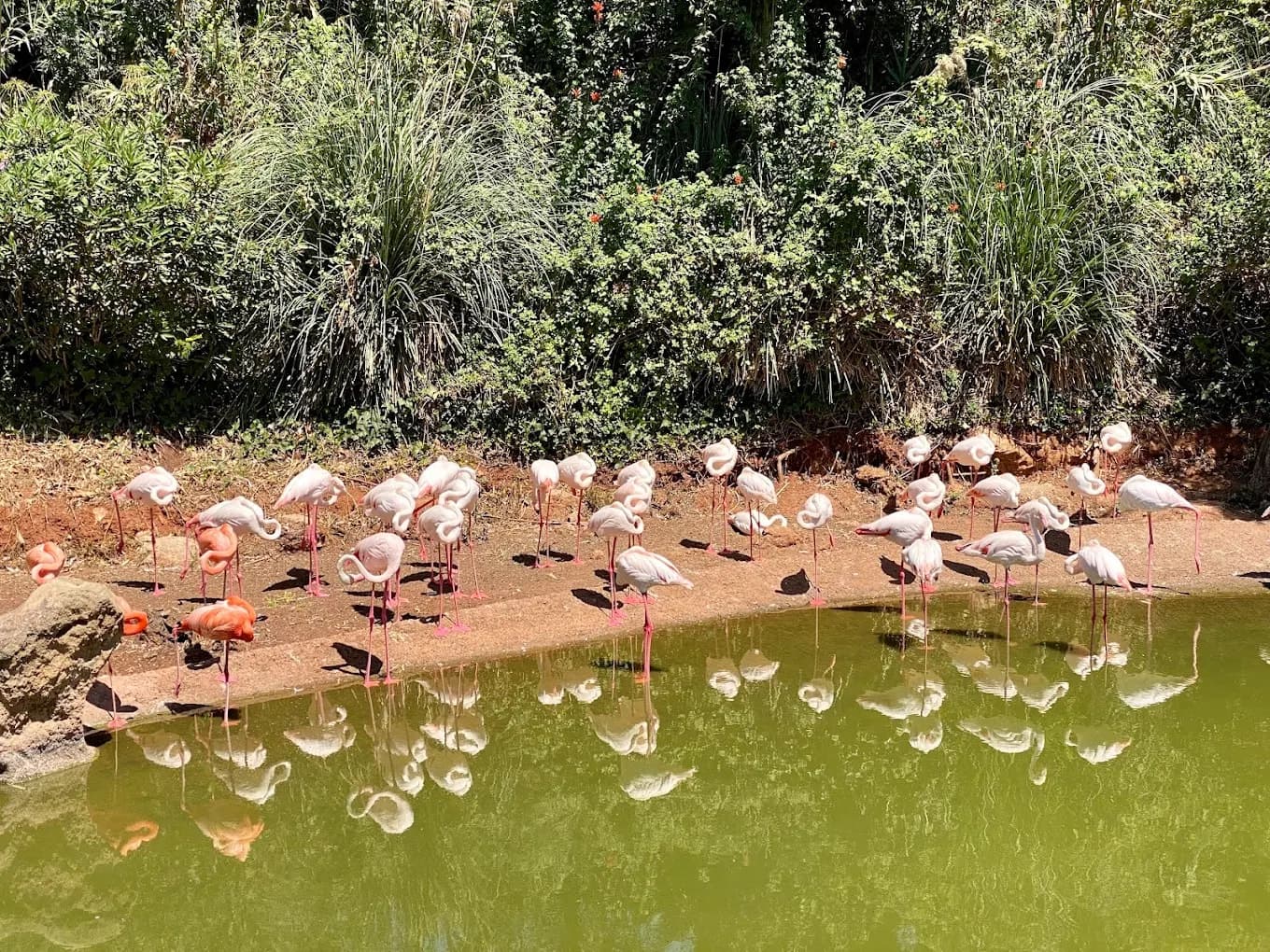 Jardin Zoologique de Rabat – Parc animalier et nature 3