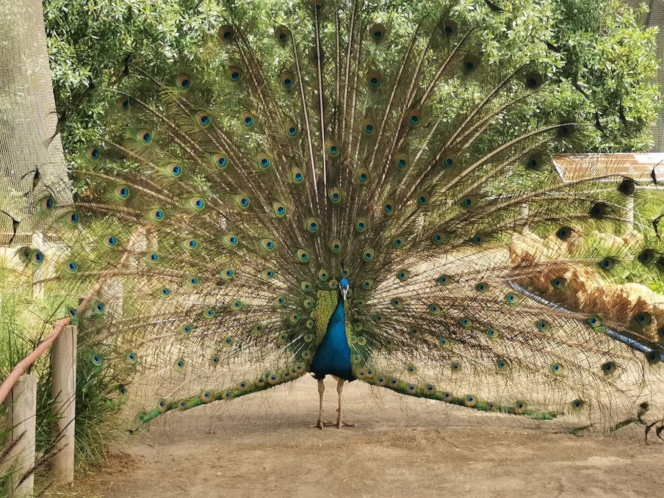 Jardin Zoologique de Rabat – Parc animalier et nature 4