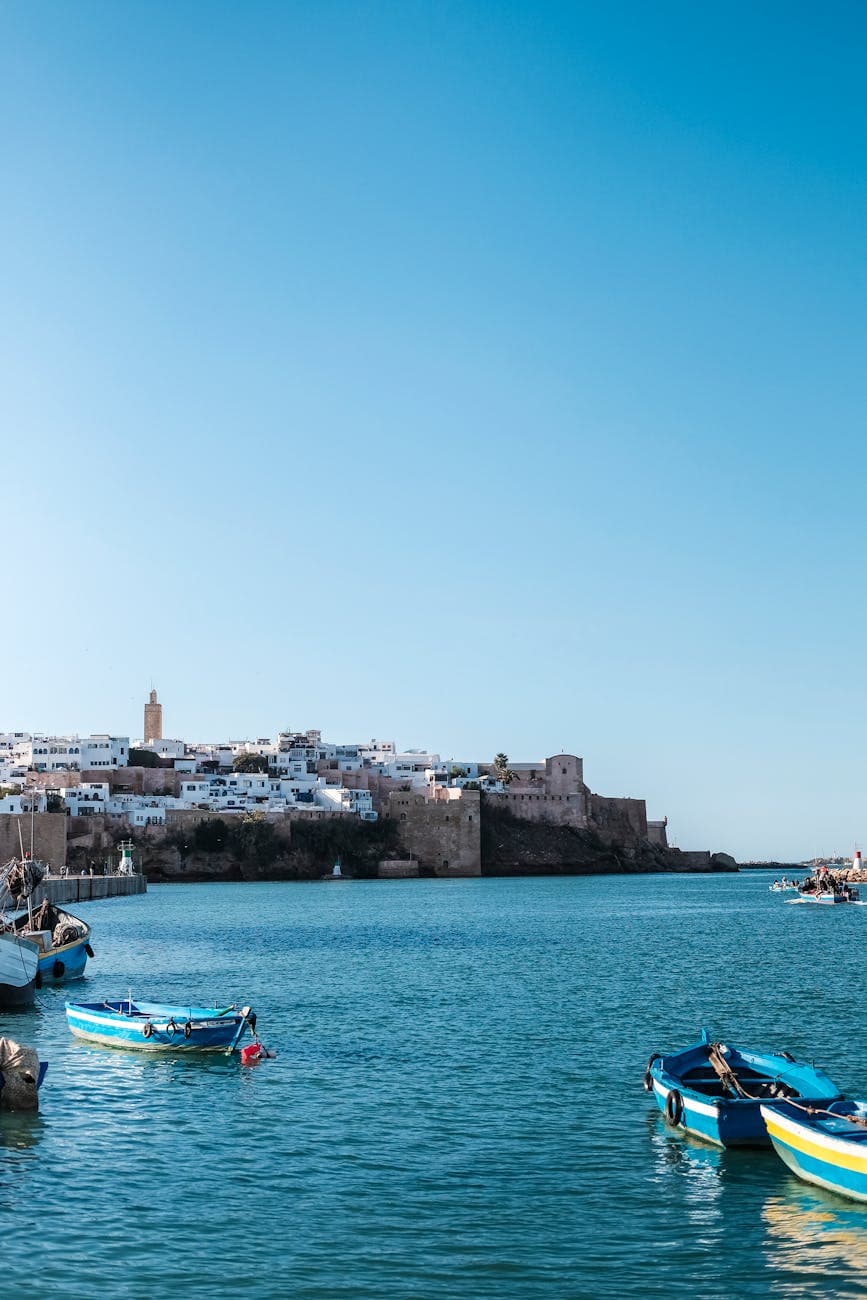 Collection Exclusive